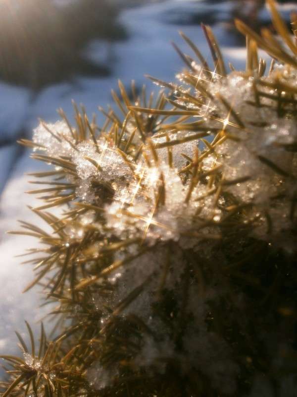 ������ � ����� ����� Tanya Aleks �� PhotoGeek.ru #����� #����� ��������������