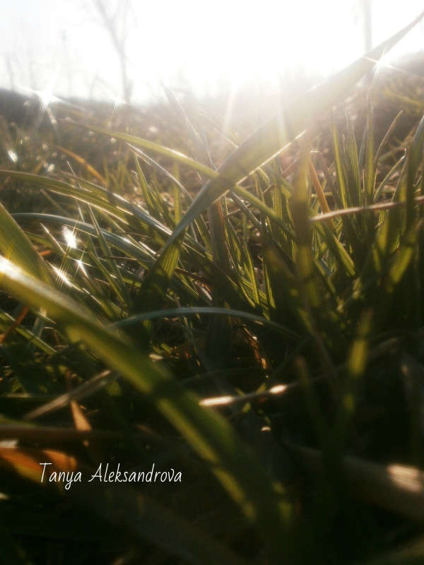 ����� ������ ����� Tanya Aleks �� PhotoGeek.ru #����� #����� ��������������