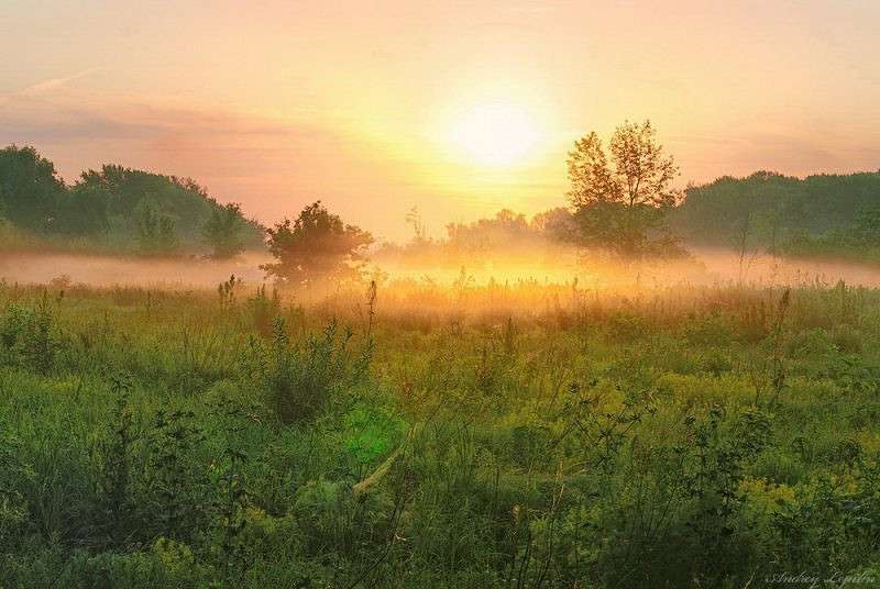 ������ ����� ������ ������� �� PhotoGeek.ru #������ ��� �������