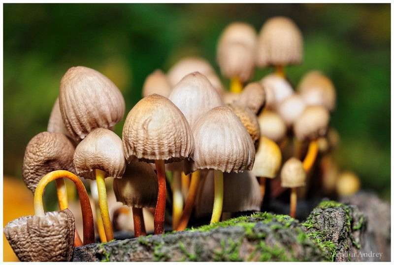 ����� �� ������� ������ ����� ����� ������ ������� �� PhotoGeek.ru #�����