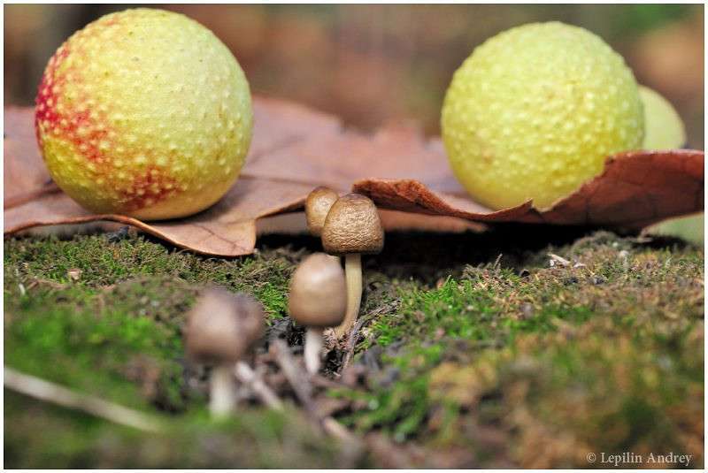 Between Scylla and Charybdis ����� ������ ������� �� PhotoGeek.ru #�����