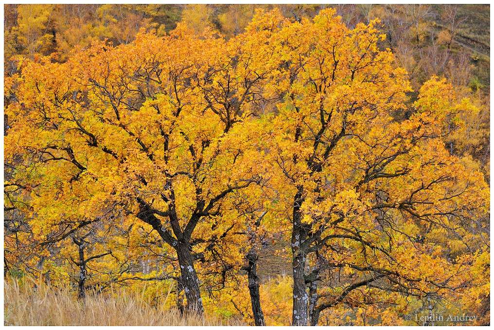 ����� ������ ����� ������ ������� �� PhotoGeek.ru #������ ��� �������