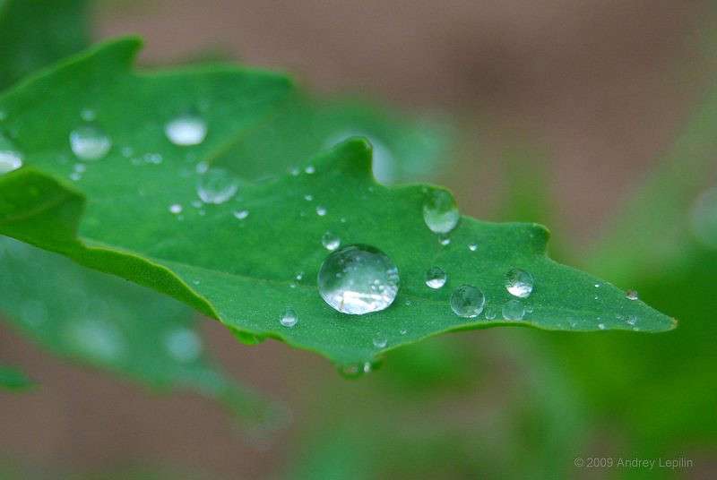 ��������� ����� ������ ������� �� PhotoGeek.ru #�����