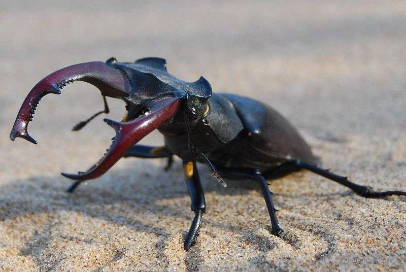 �������� ����� ����� ������ ������� �� PhotoGeek.ru #�����