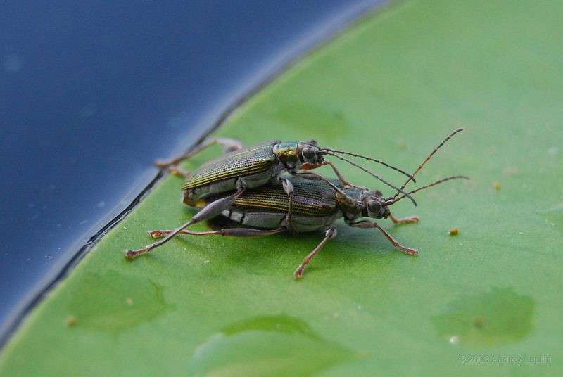 ������-������� ����� ������ ������� �� PhotoGeek.ru #�������� ���