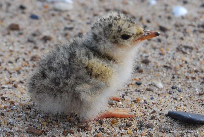 �������� ����� ������ ������� �� PhotoGeek.ru #�������� ���