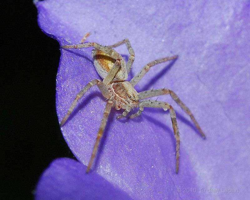 � ������ ����� ������ ������� �� PhotoGeek.ru #�����