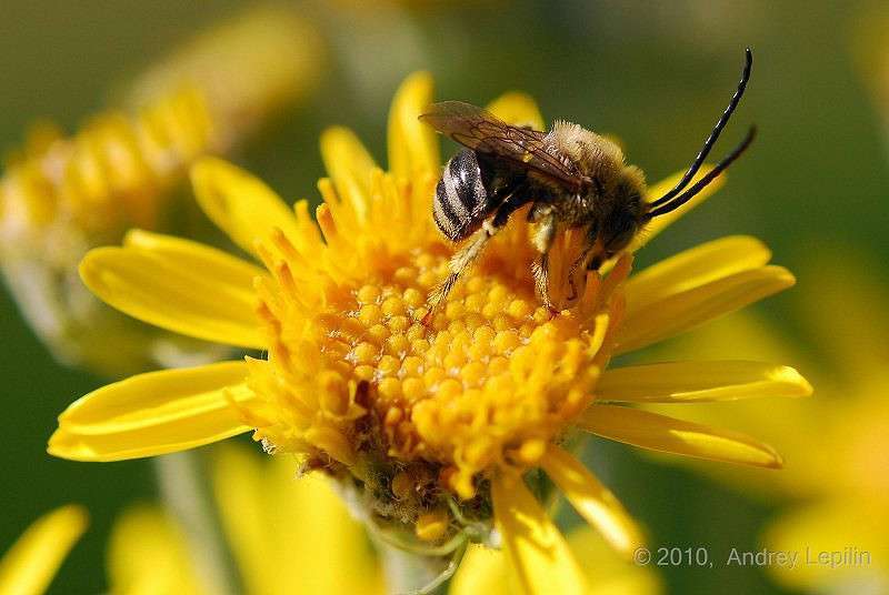 �� �������� ����� ������ ������� �� PhotoGeek.ru #�����