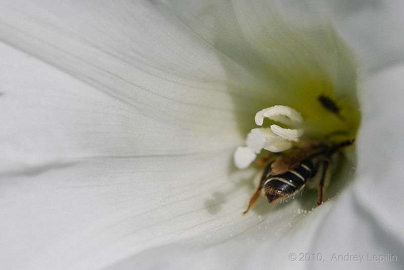 ������� ����� ������ ������� �� PhotoGeek.ru #�����