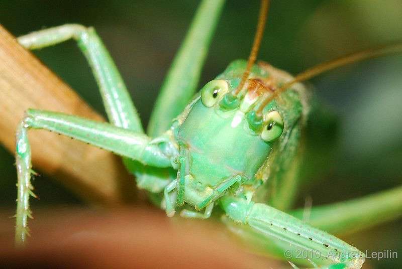 ��� ����� �� ����� ������... ����� ������ ������� �� PhotoGeek.ru #�����