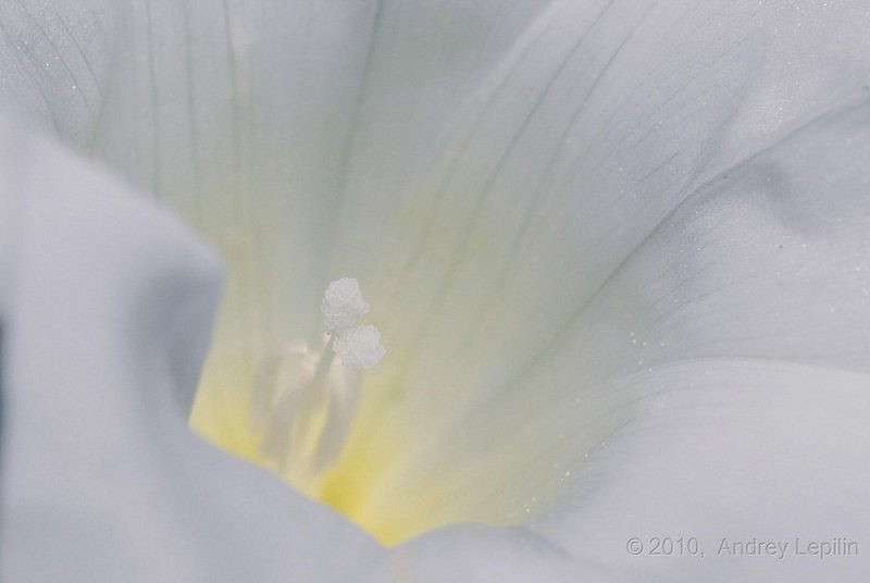 �������� ����� ������ ������� �� PhotoGeek.ru #�����