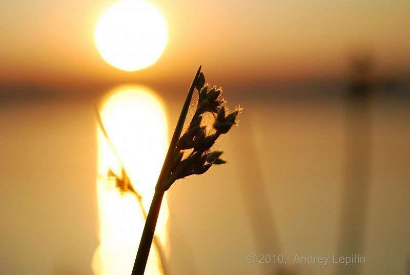 �������� �������� ����� ������ ������� �� PhotoGeek.ru #������ ��� �������