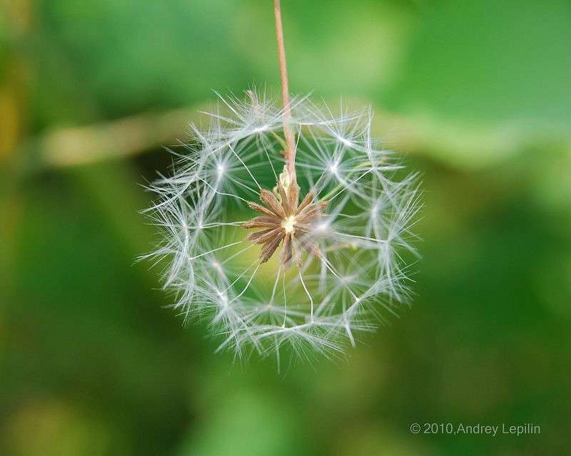 ����� ����� ������ ������� �� PhotoGeek.ru #�����