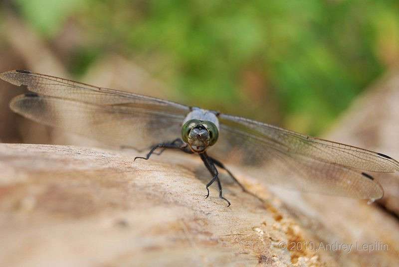 ������ ��� �� ������ ����� ������ ������� �� PhotoGeek.ru #�����