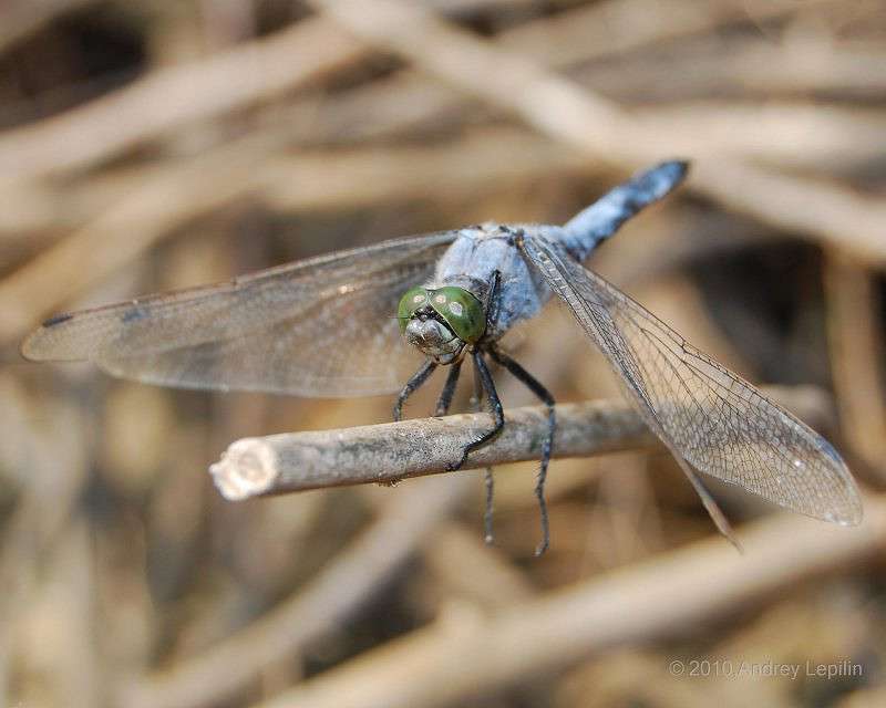 ����� ������ ����� ������ ������� �� PhotoGeek.ru #�������� ���