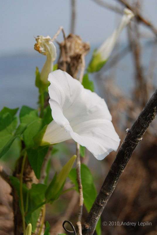 �������� ����� ������ ������� �� PhotoGeek.ru #������ ��� �������