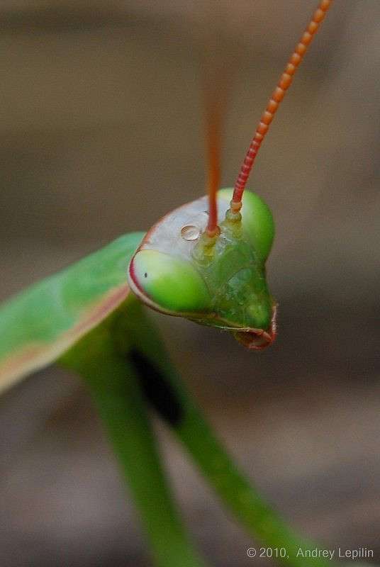 ��������� ����� ������ ������� �� PhotoGeek.ru #�����