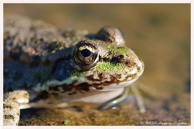 ������� ����� ������ ������� �� PhotoGeek.ru #�����