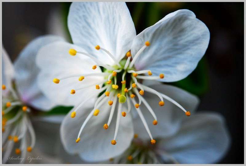 +++ ����� ������ ������� �� PhotoGeek.ru #�����