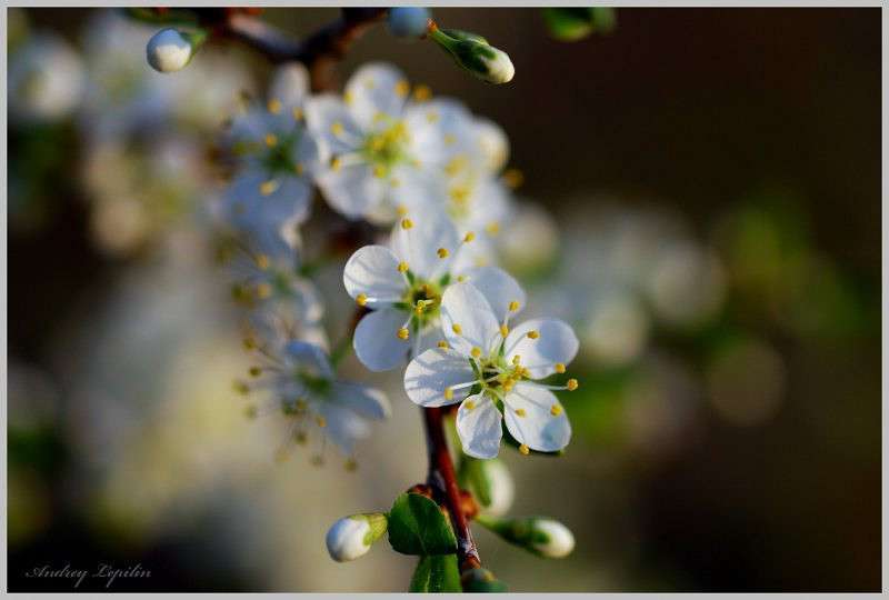 ����� ������ ����� ������ ������� �� PhotoGeek.ru #������ ��� �������