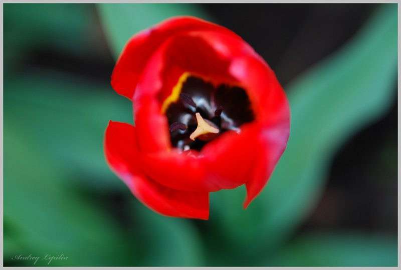 *** ����� ������ ������� �� PhotoGeek.ru #�����