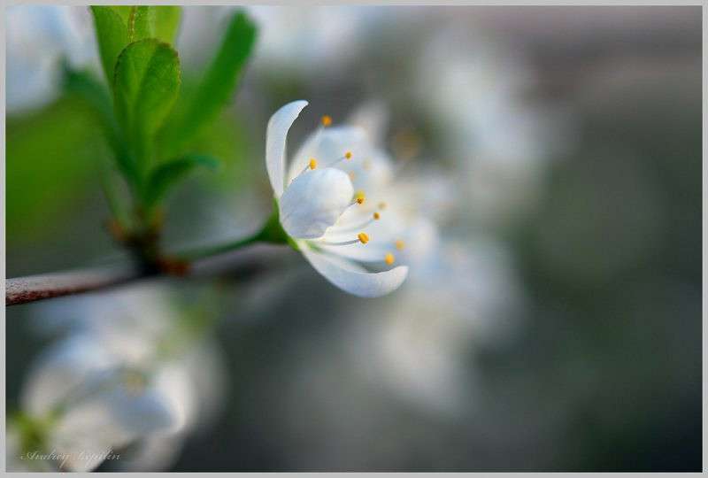 *** ����� ������ ������� �� PhotoGeek.ru #�����