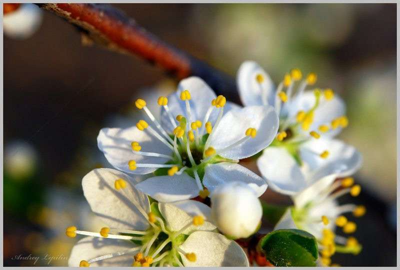 *** ����� ������ ������� �� PhotoGeek.ru #�����