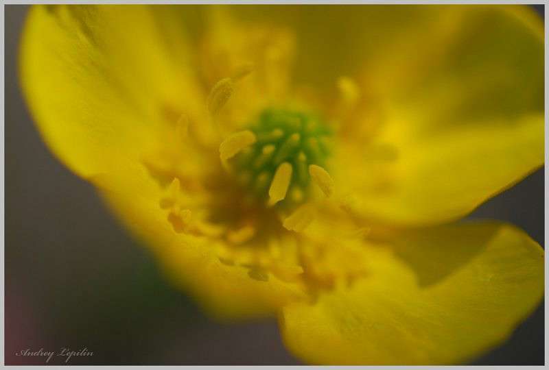 *** ����� ������ ������� �� PhotoGeek.ru #�����