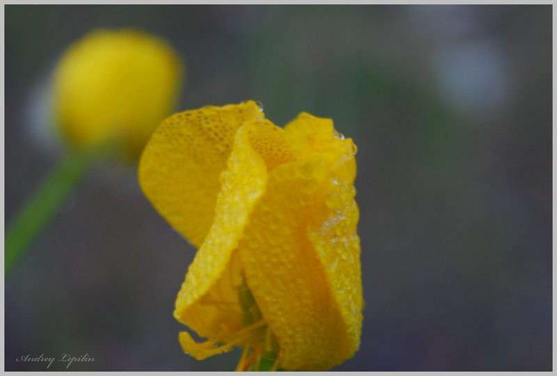 *** ����� ������ ������� �� PhotoGeek.ru #�����