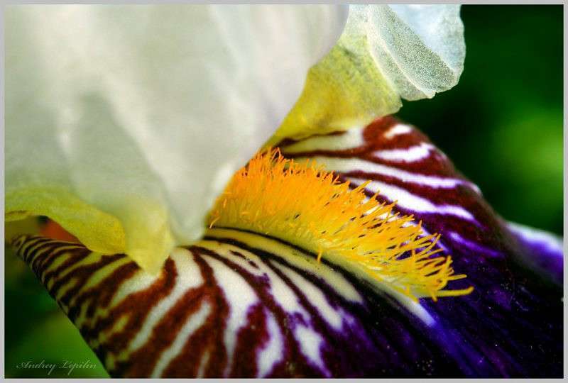 ������� ���� ����� ������ ������� �� PhotoGeek.ru #�����