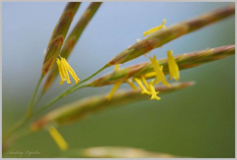 *** ����� ������ ������� �� PhotoGeek.ru #�����