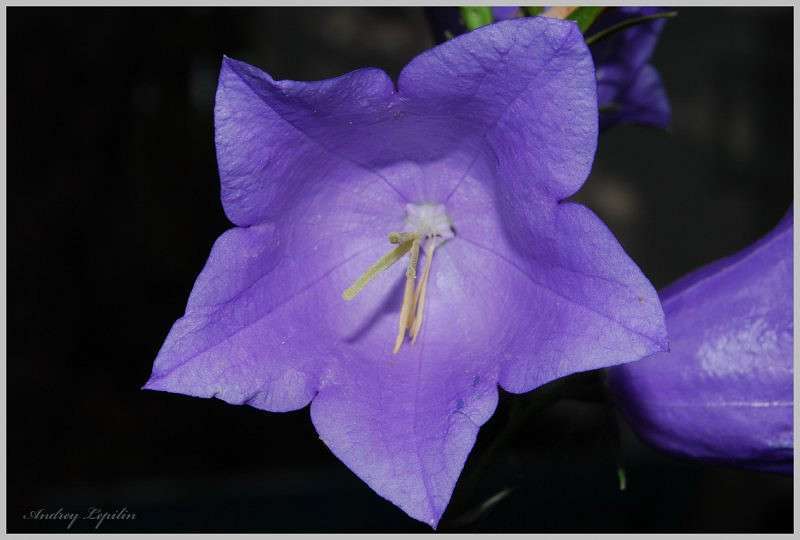 *** ����� ������ ������� �� PhotoGeek.ru #�����