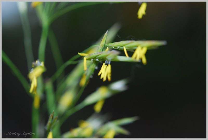 *** ����� ������ ������� �� PhotoGeek.ru #�����