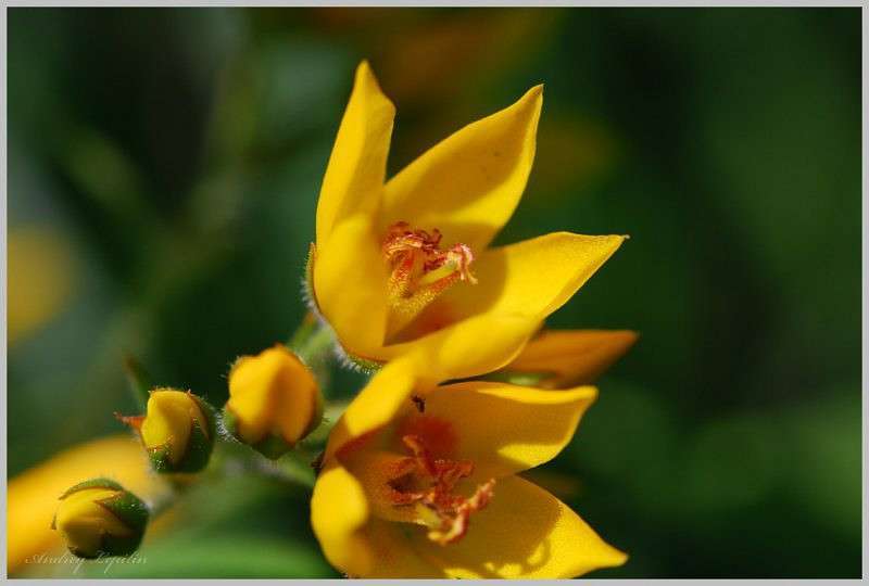 *** ����� ������ ������� �� PhotoGeek.ru #�����