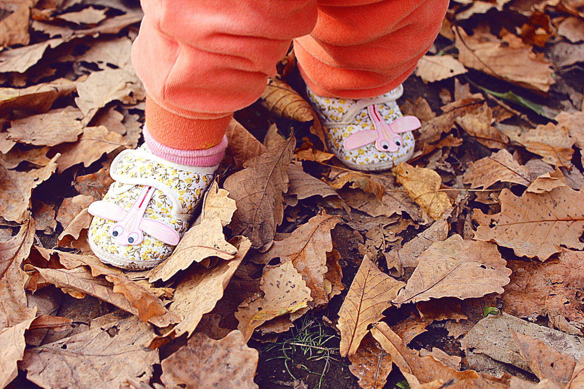 ������ ����� � ����� �������) ����� ����� �������� �� PhotoGeek.ru #�������