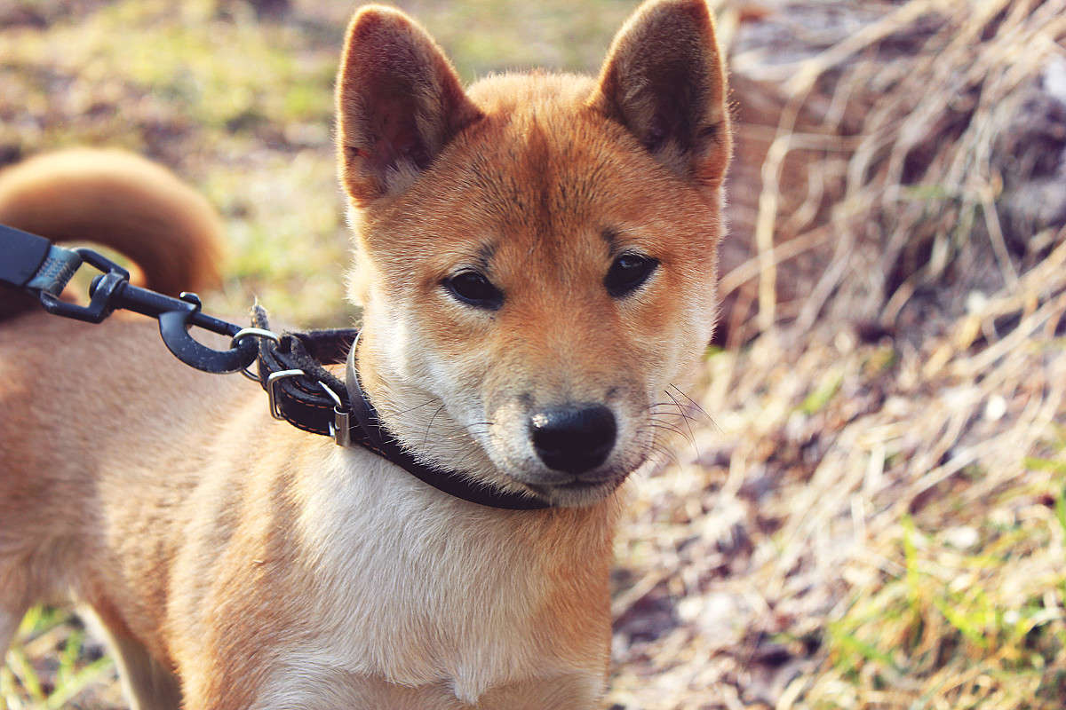 ����� (����� ���� - ���) ����� ����� �������� �� PhotoGeek.ru #�������� ���