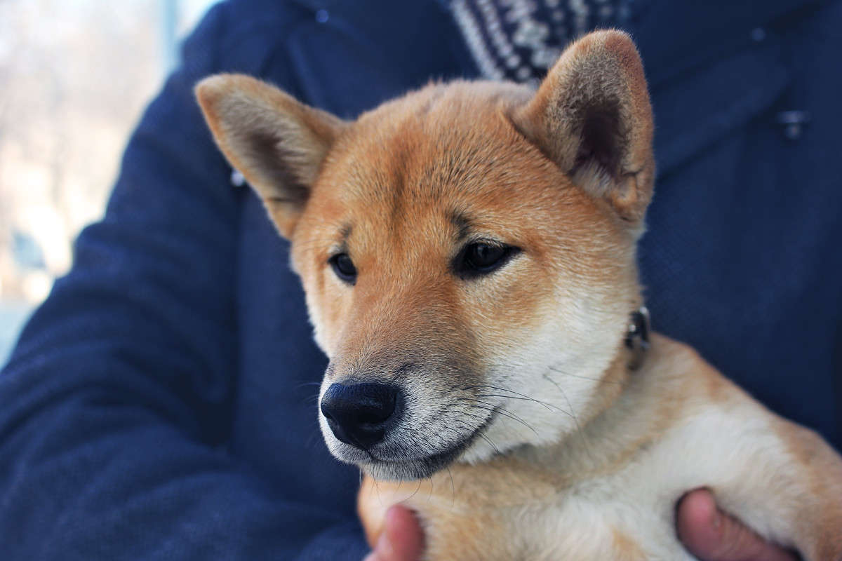 ����� ����� ����� �������� �� PhotoGeek.ru #�������� ���