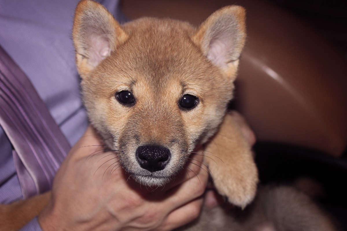 ����� - ������ ��� ��������� ����� ����� �������� �� PhotoGeek.ru #�������� ���