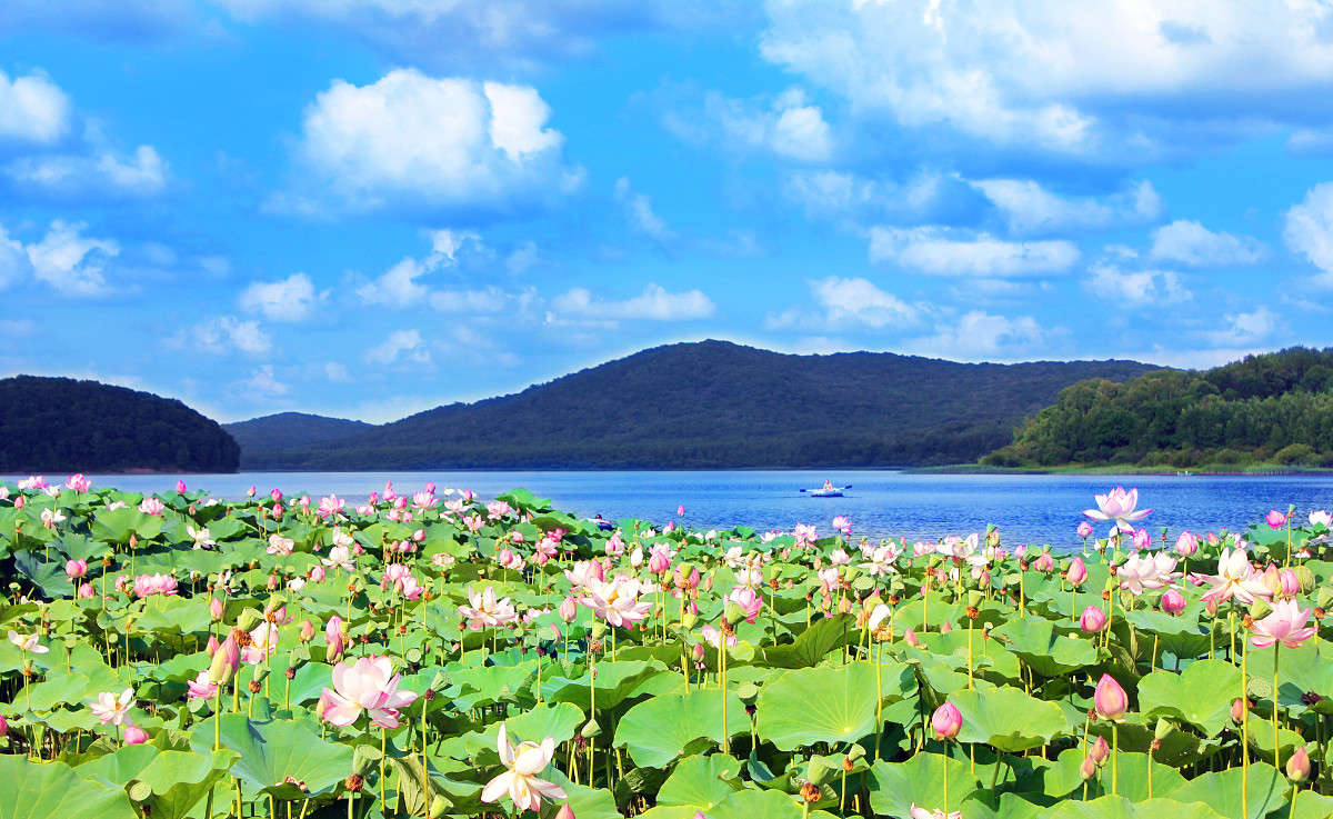 ����������� ����� ����� �������� �� PhotoGeek.ru #������ ��� �������