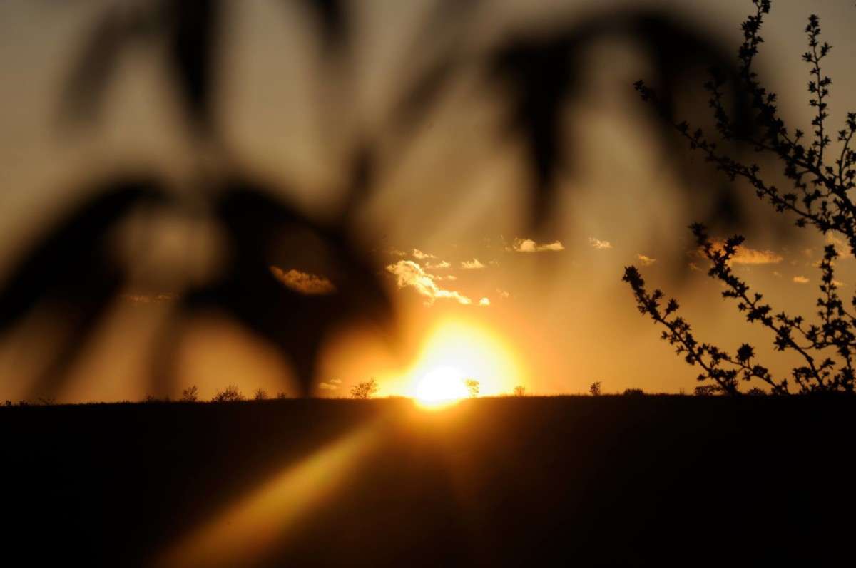 LD ����� L D �� PhotoGeek.ru #������ ��� �������