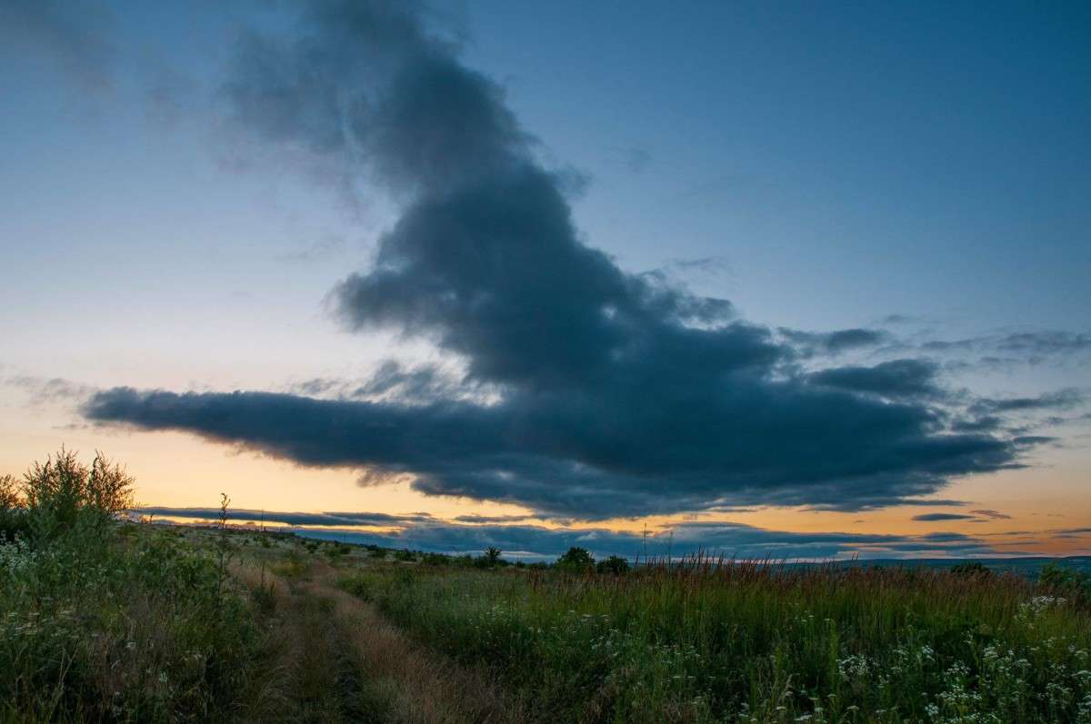 LD ����� L D �� PhotoGeek.ru #������ ��� �������