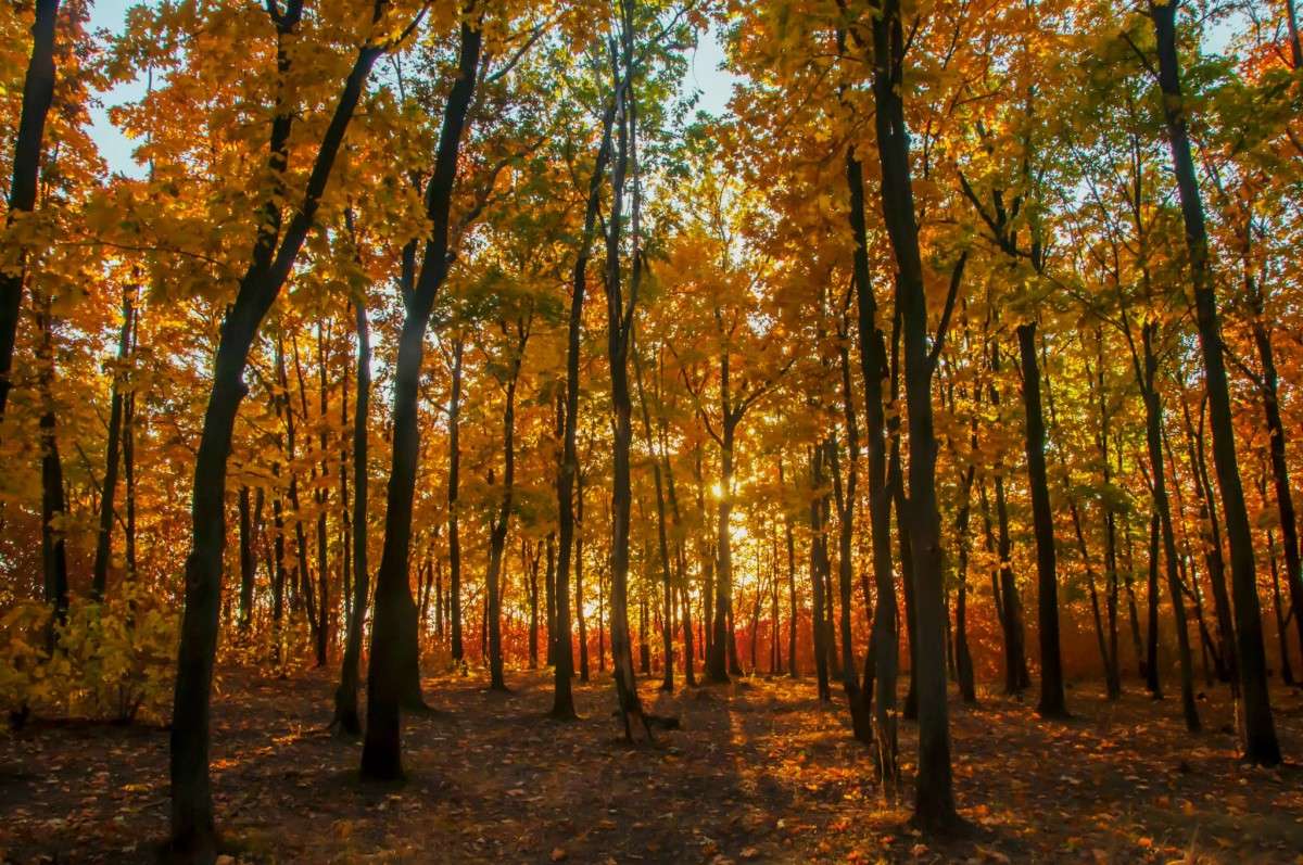 ... ����� L D �� PhotoGeek.ru #������ ��� �������