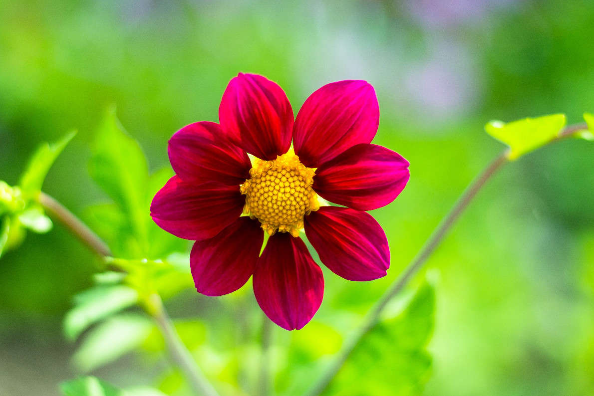 ��������.... ����� ����� �������� �� PhotoGeek.ru #������ ��� �������