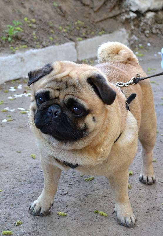 ���.... ����� ����� �������� �� PhotoGeek.ru #�������� ���