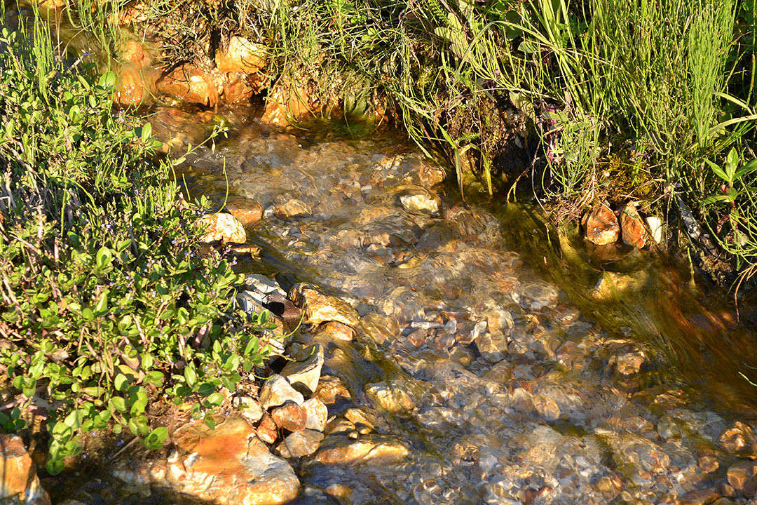 �����.... ����� ����� �������� �� PhotoGeek.ru #������ ��� �������