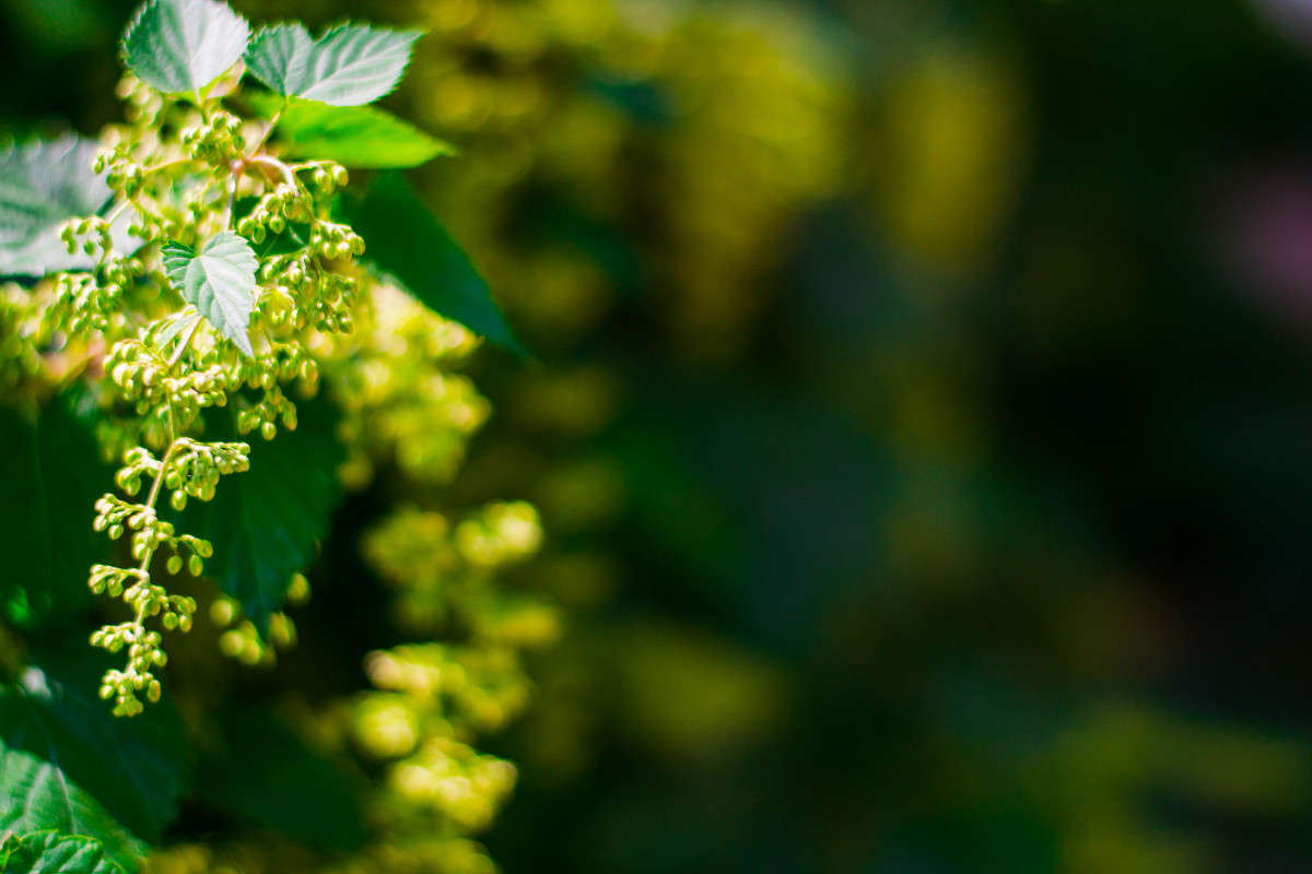 ... ����� ����� �������� �� PhotoGeek.ru #������ ��� ������� #����� ��������������