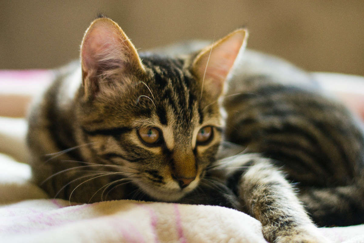 ˸���.... ����� ����� �������� �� PhotoGeek.ru #�������� ���