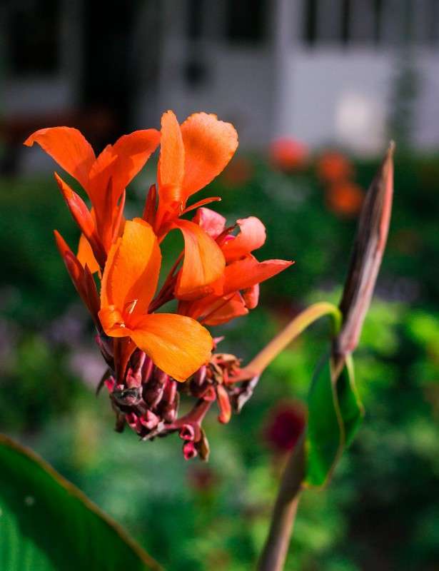 ... ����� ����� �������� �� PhotoGeek.ru #������ ��� ������� #����� ��������������