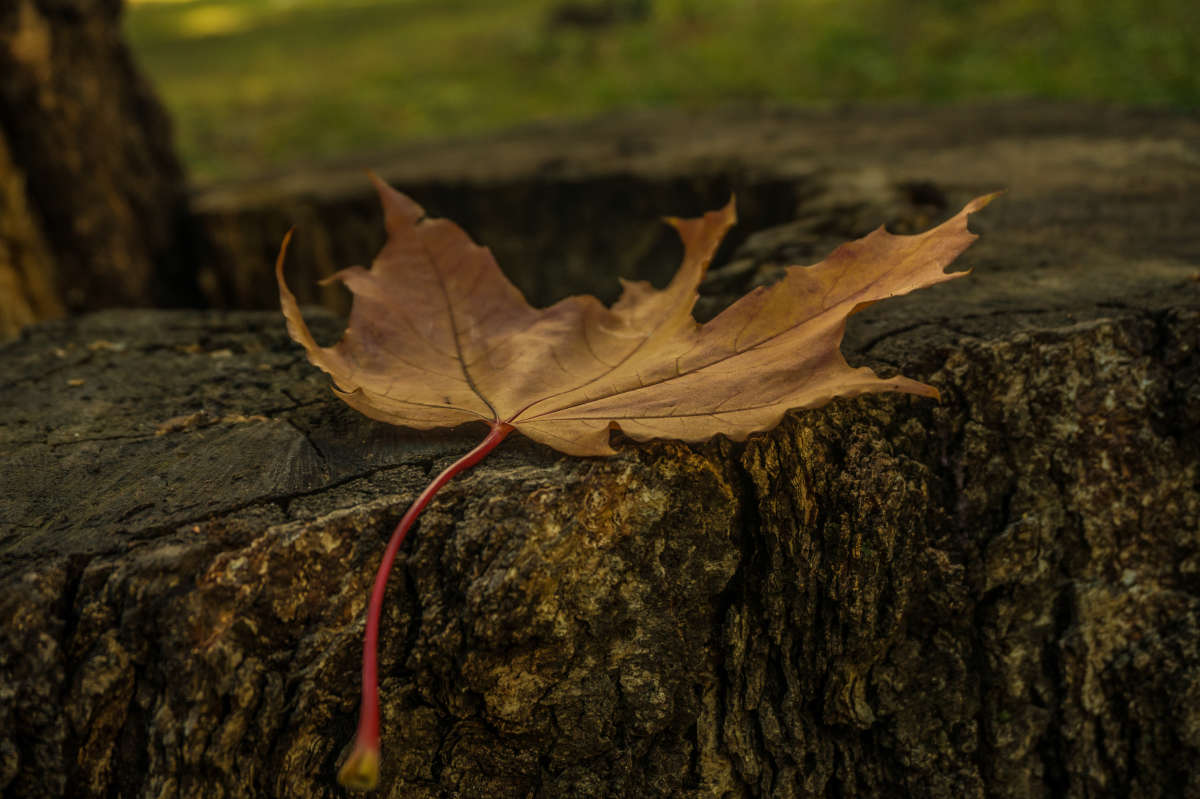 ��� � ����� ����� Oksana  �� PhotoGeek.ru #������ ��� �������