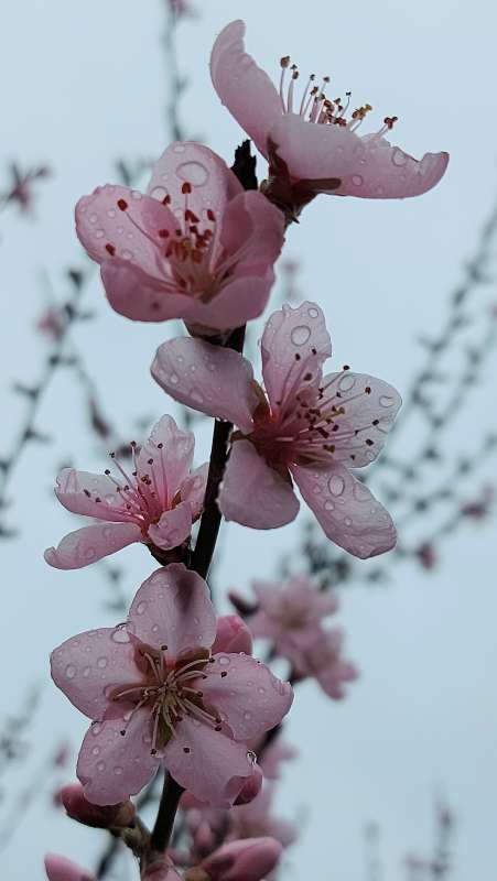 �������� ����� ����� ������ Larisa �� PhotoGeek.ru #������ ��� �������